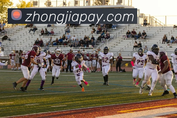 App功能展示图